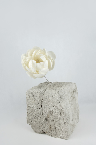 AH FORM - PIWONIA - DUŻA