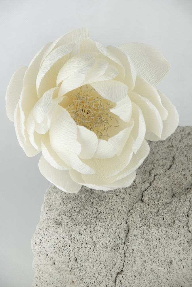 AH FORM - PIWONIA - DUŻA