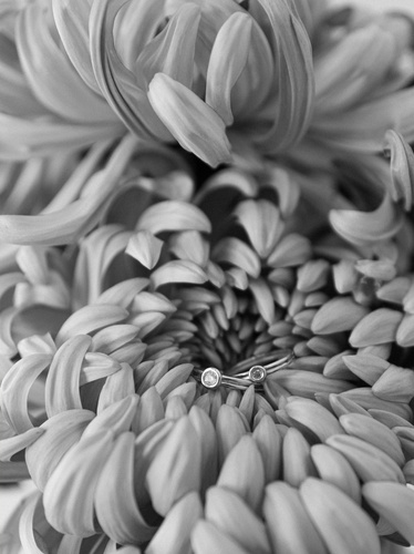 EN LINE - PIERŚCIONEK - AB_EL_R6-WG