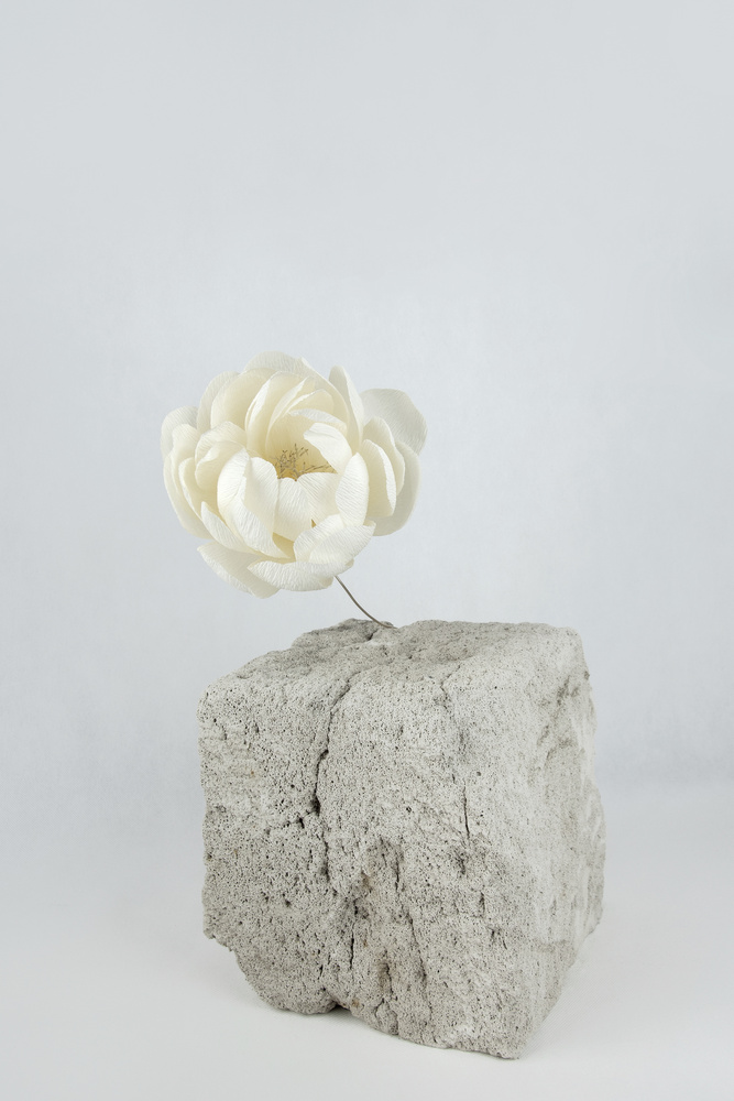 AH FORM - PIWONIA - DUŻA